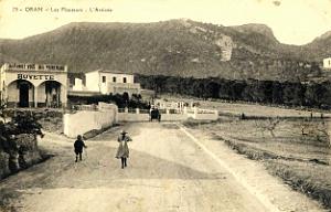 G 023- Planteurs